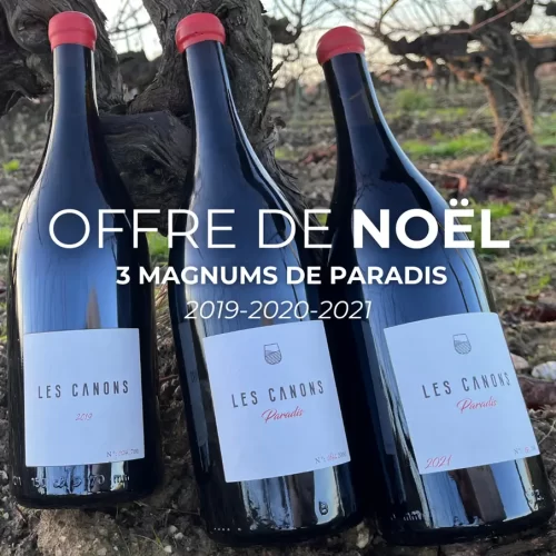 Offre de Noël