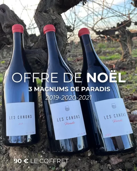 coffret-magnum-le-paradis-noel-2025
